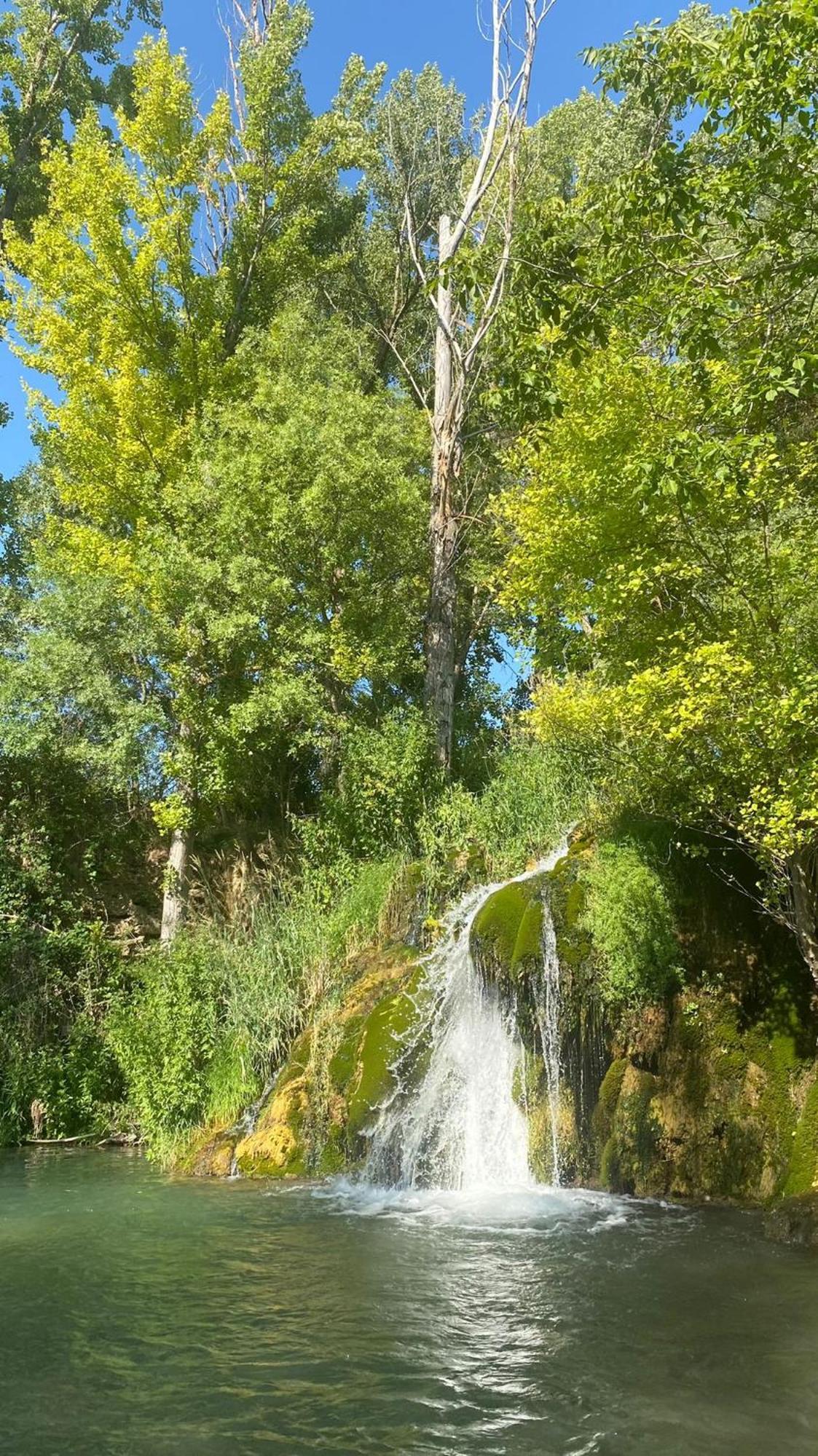 Casa Rural La Alegria De La Alcarria III Villa Torremocha del Campo Екстериор снимка